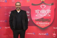 مهرداد میناوند