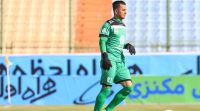 حامد لک