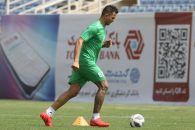 حامد لک در اولین سال حضورش در پرسپولیس دستکش طلایی را به دست آورد و با کلین شیتهایش در آسیا و لیگ برتر عملکرد خوبی داشت