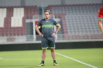 رضا شاهرودی