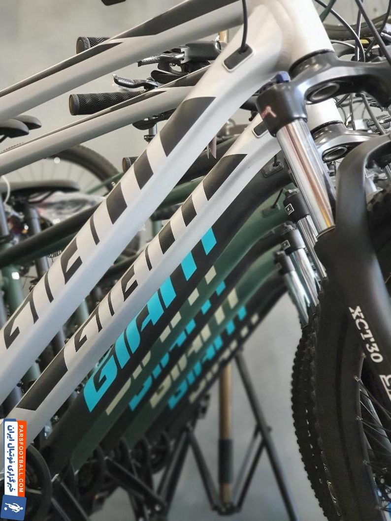 باید دوچرخه سواری کنید اما چرا؟