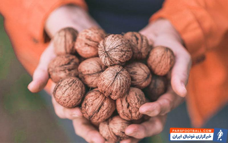 معرفی پربارترین درختان گردو در یاسوج (کهگیلویه و بویراحمد)