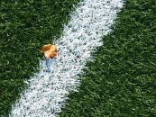 بهترین چمن مصنوعی ورزشی برای زمین فوتبال