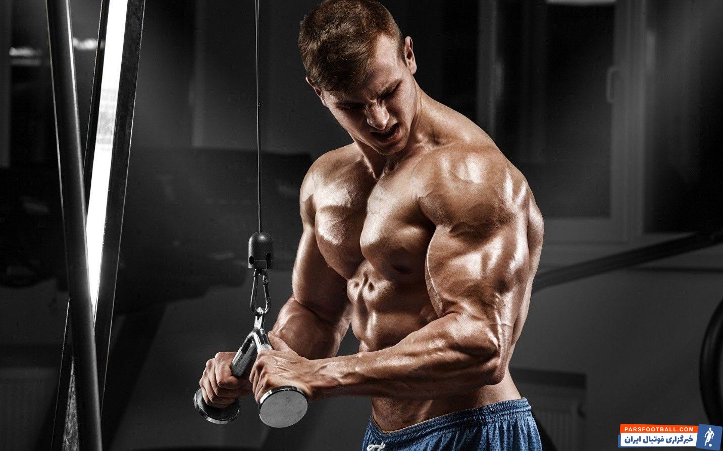 آموزش سه حرکت اساسی بدنسازی توسط پارسی پودر