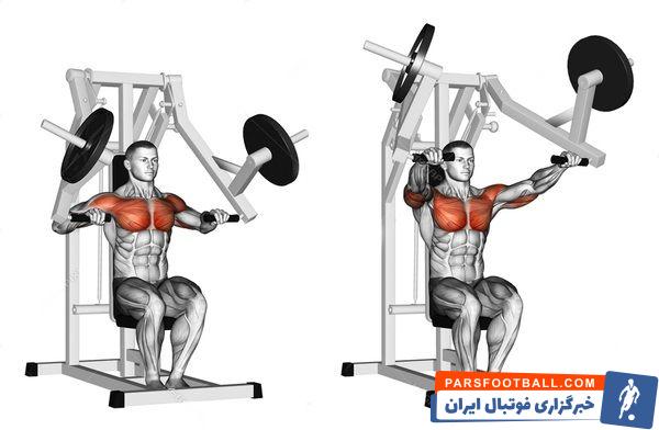 آموزش سه حرکت اساسی بدنسازی توسط پارسی پودر